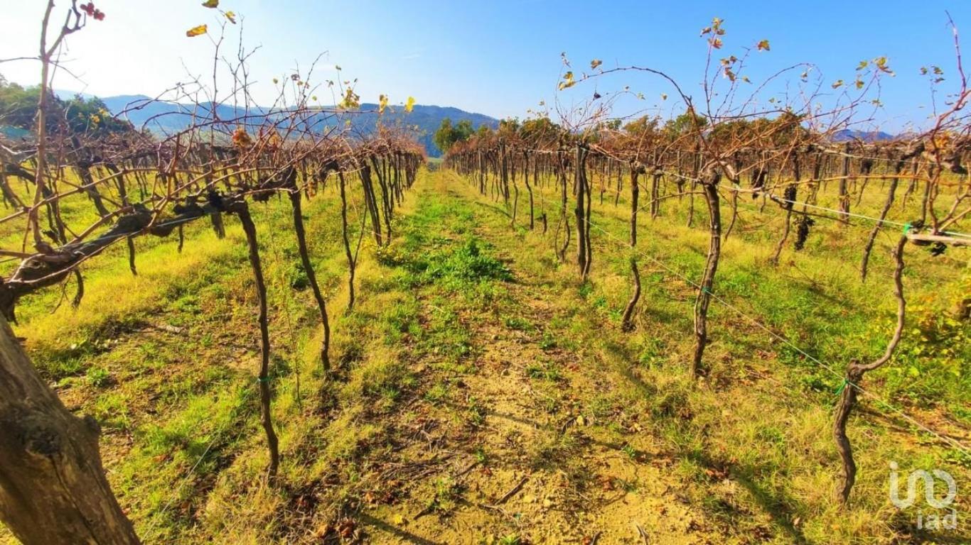 Podere Mona Pomarance Exteriér fotografie